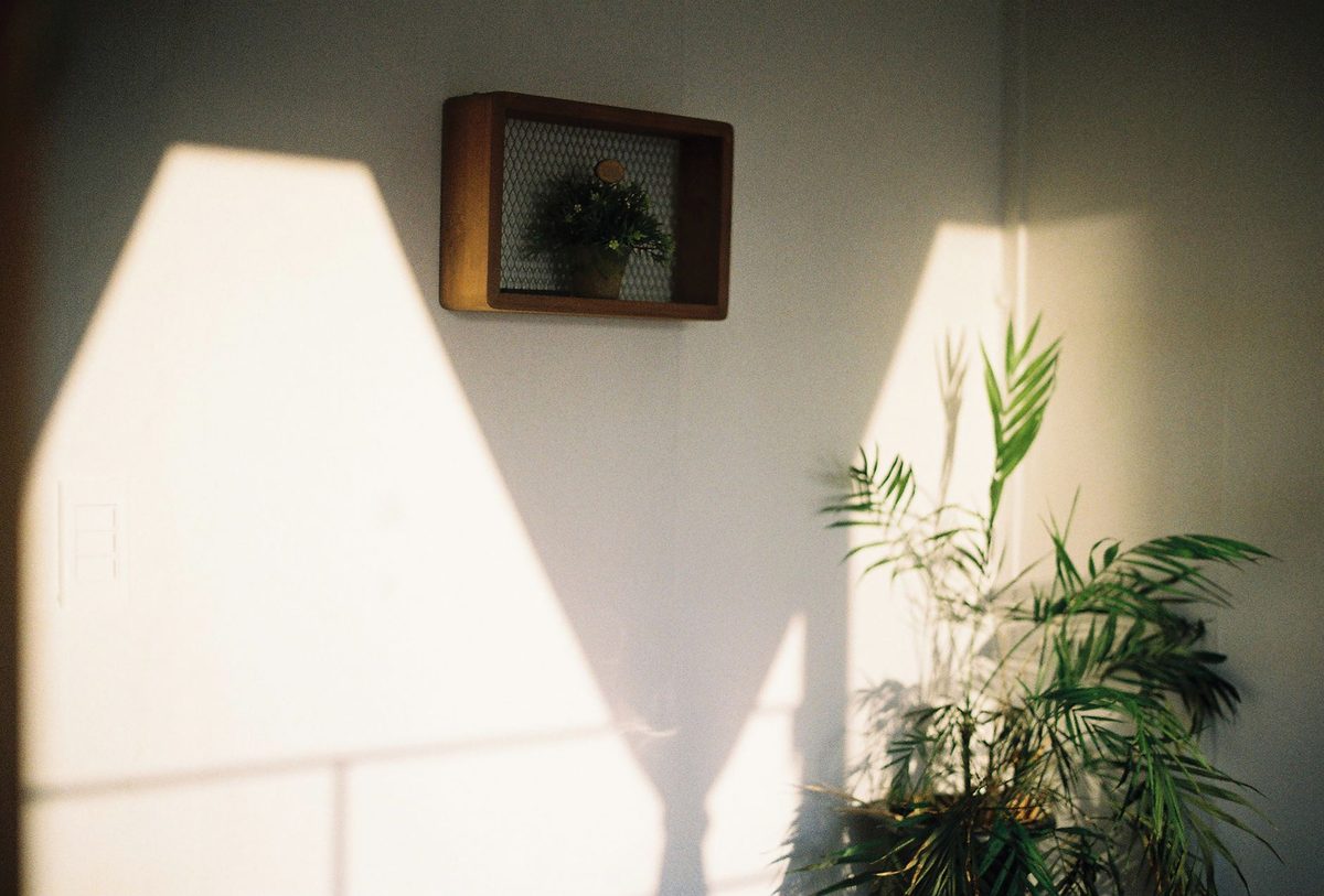 Rincón cálido de consulta con lámpara, planta y luz suave