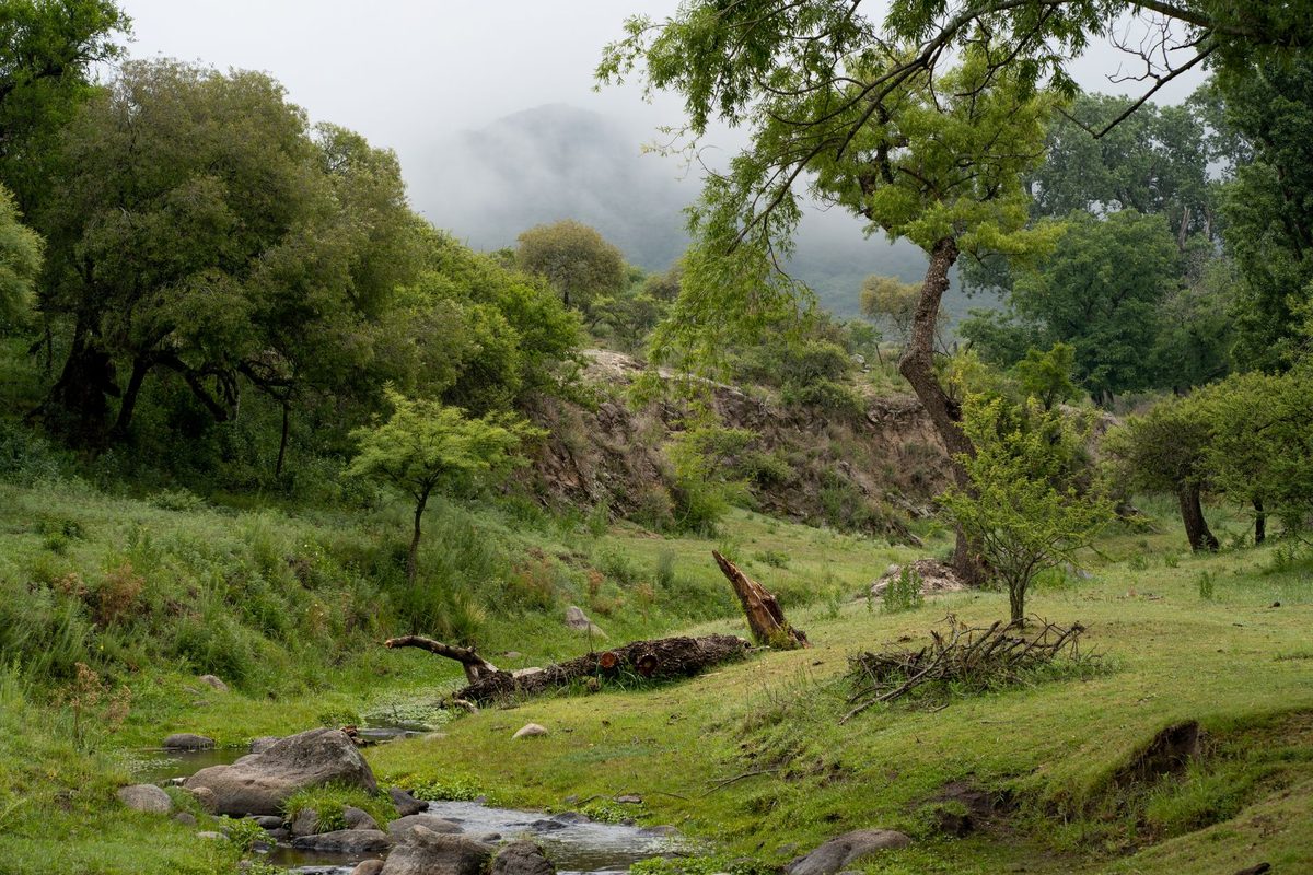 Sendero verde y sereno, metáfora de un camino a elegir